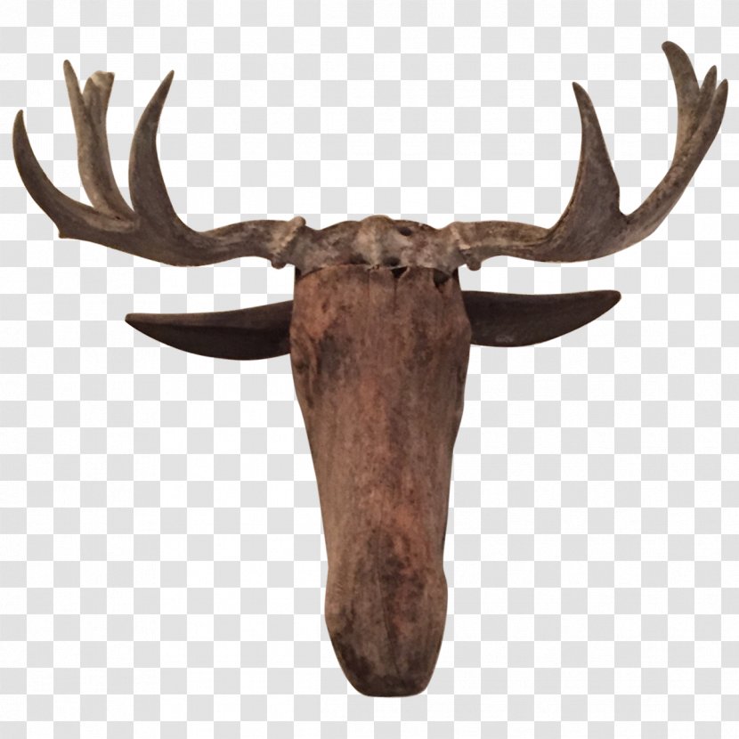 Reindeer Moose Elk Antler - Horn Transparent PNG