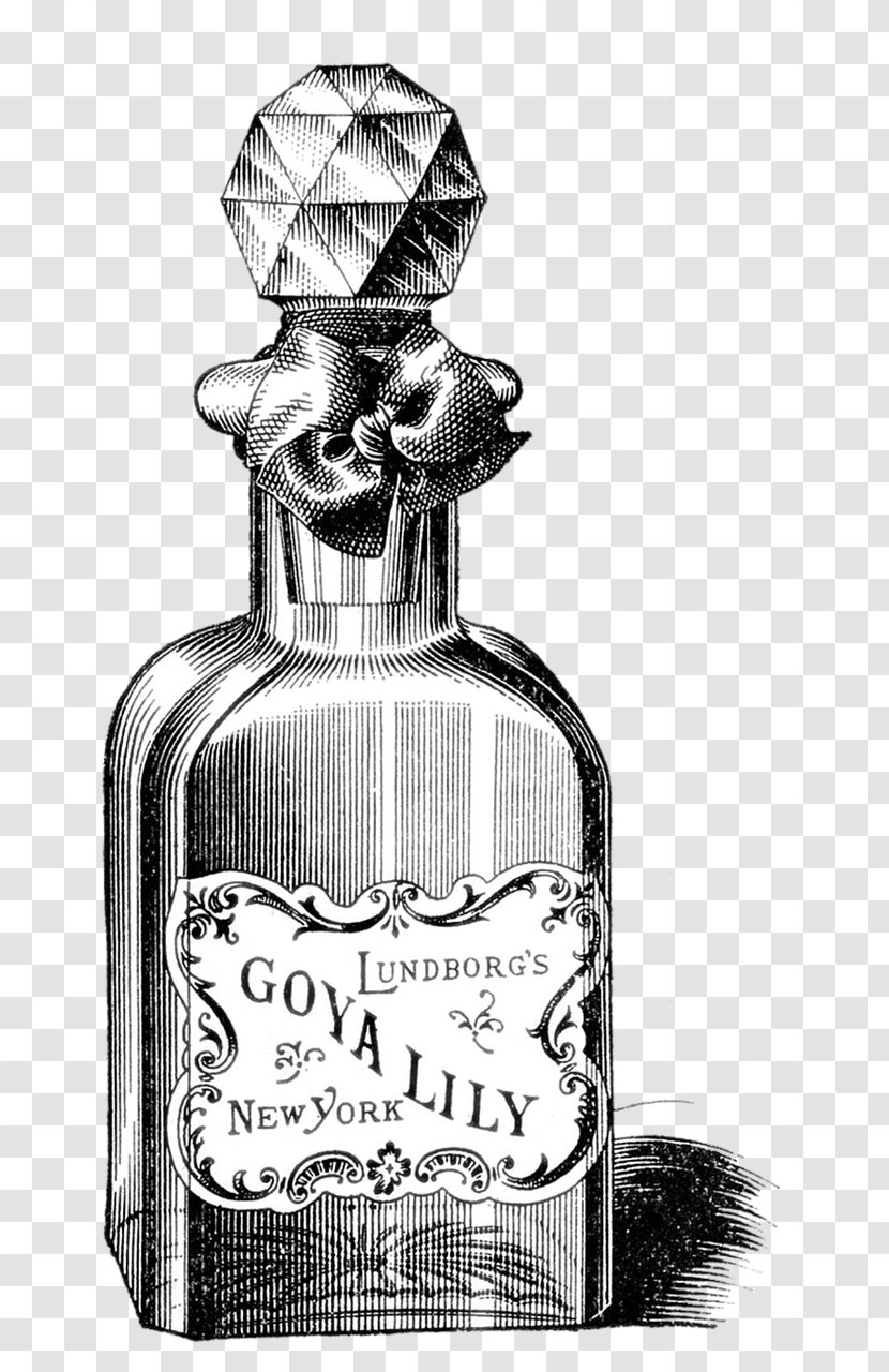 Perfume Graphic Arts - Drawing Transparent PNG
