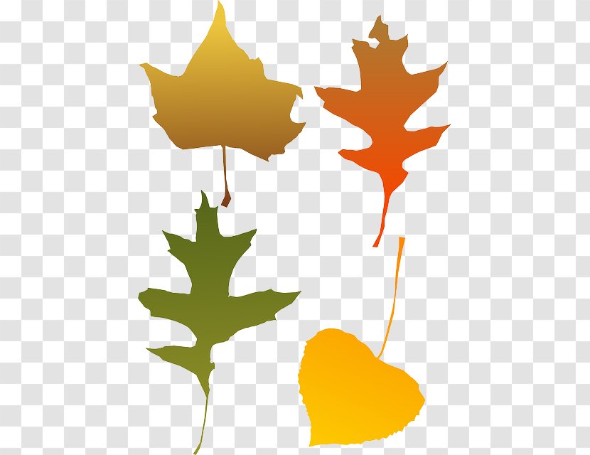 Autumn Leaf Color Clip Art - Flowering Plant - Orange Leaves Transparent PNG