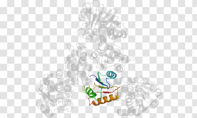 Clip Art Illustration Product Logo Cartoon - Organism - Tree Transparent PNG