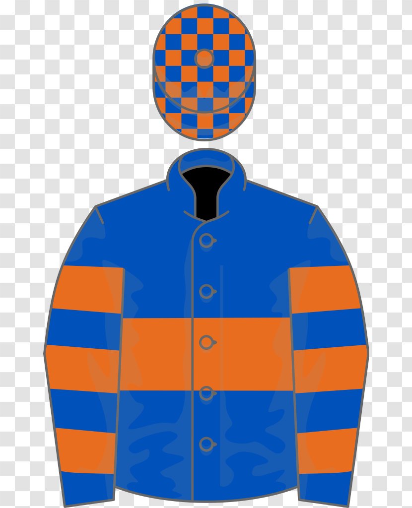 Thoroughbred Ascot Racecourse Horse Racing Oyster Stakes - Jacket Transparent PNG