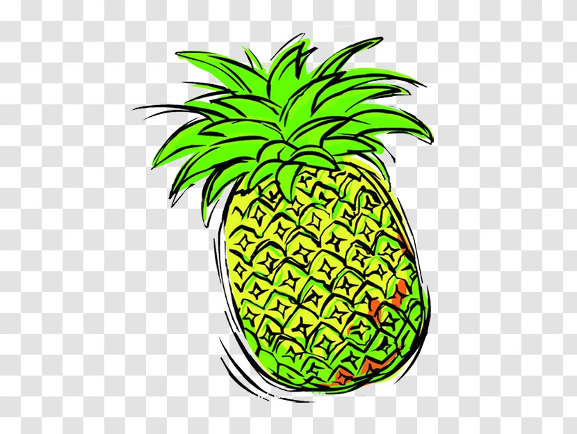 Pineapple Auglis - Plant - Creative Image Painted Transparent PNG