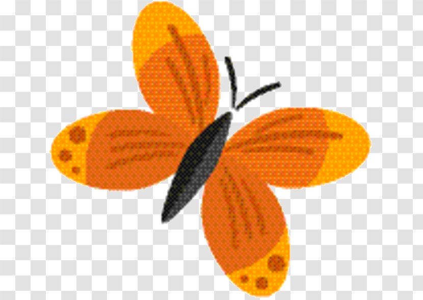 Orange Flower - Membrane - Moths And Butterflies Pollinator Transparent PNG