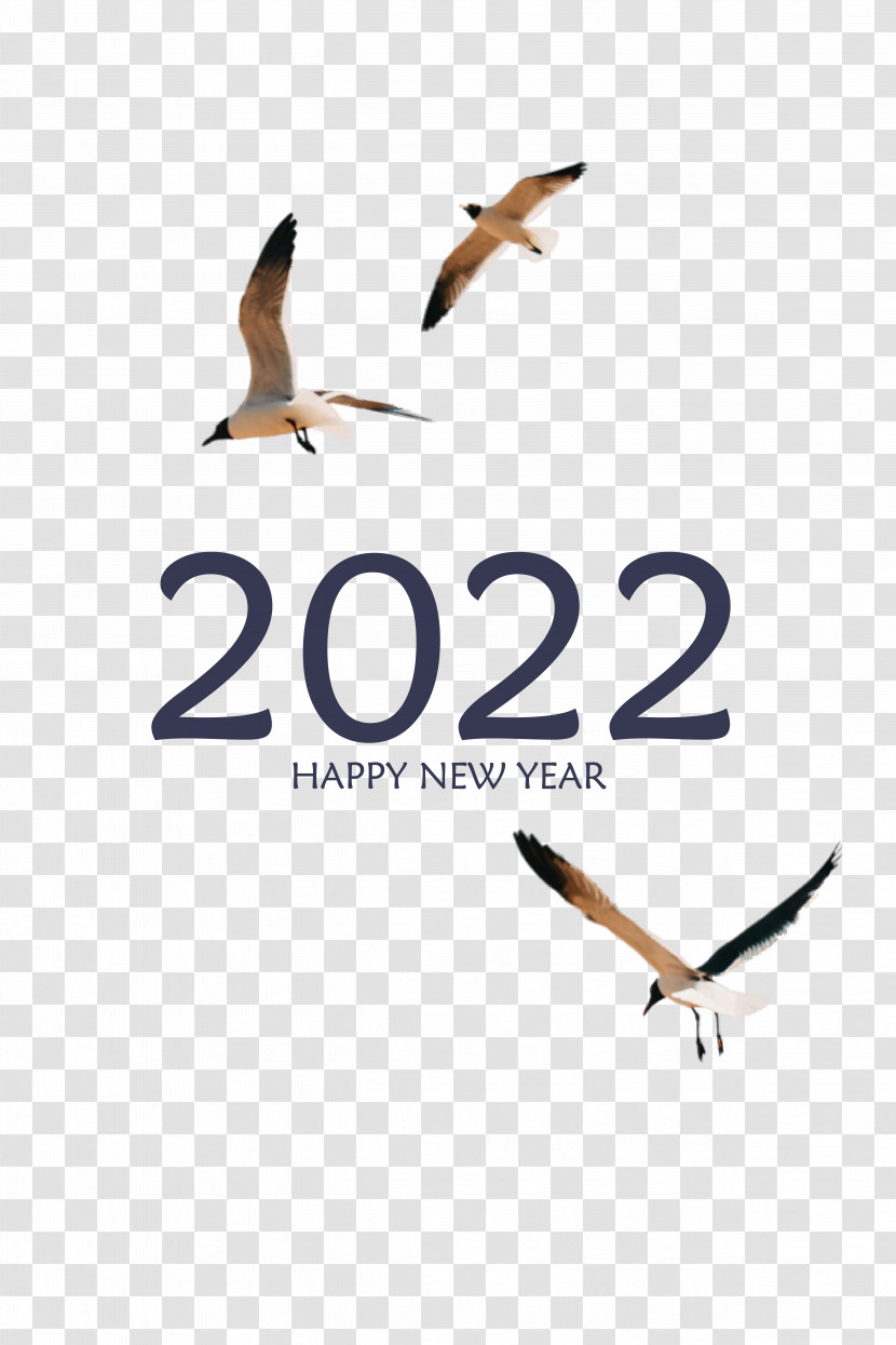 Birds Bird Migration Beak Logo Line Transparent PNG