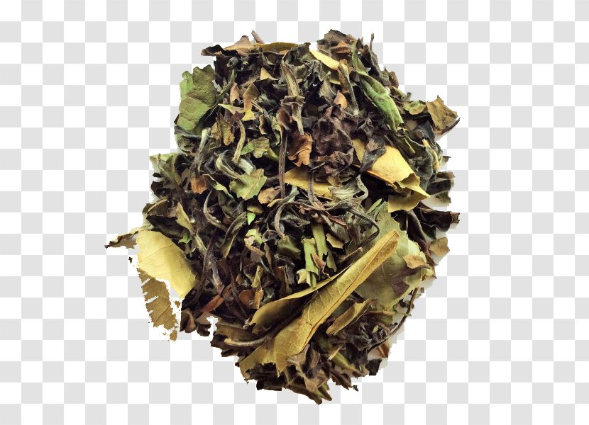 Hōjicha Nilgiri Tea White Earl Grey - Vegetarian Food Transparent PNG