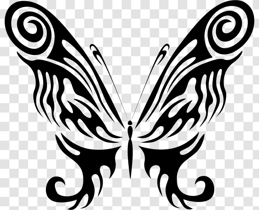 Monarch Butterfly Clip Art - Arthropod Transparent PNG
