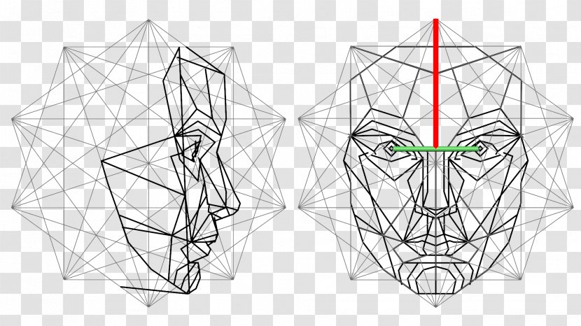 Golden Ratio Face Mathematics Proportionality - Silhouette - Angle Transparent PNG