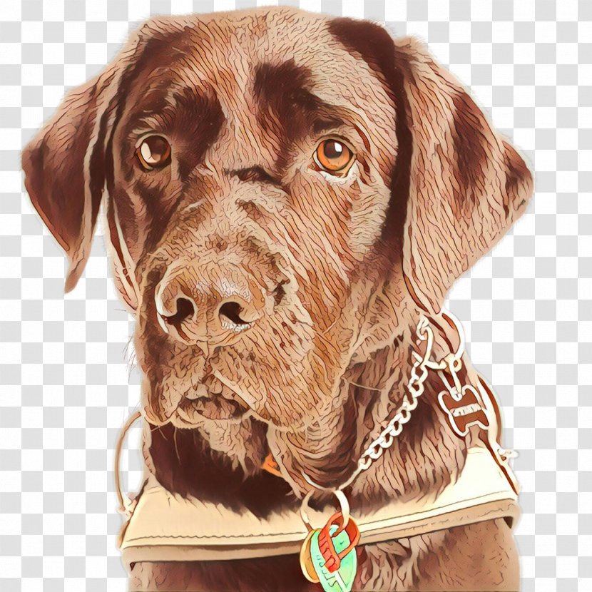 Gun Cartoon - Breed - Pointer Dog Transparent PNG