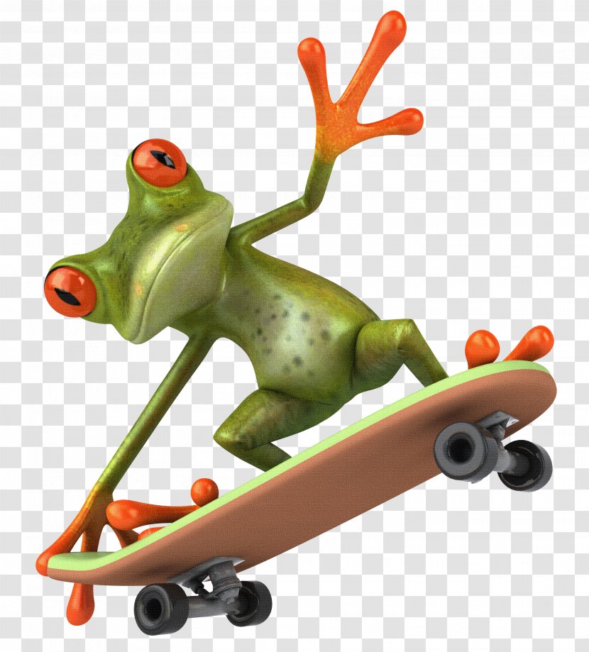 Frog Skateboarding Clip Art - Vertebrate - Amphibian Transparent PNG