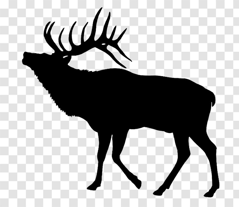 Elk Deer Clip Art - Mammal - Vector Forest Animals Transparent PNG