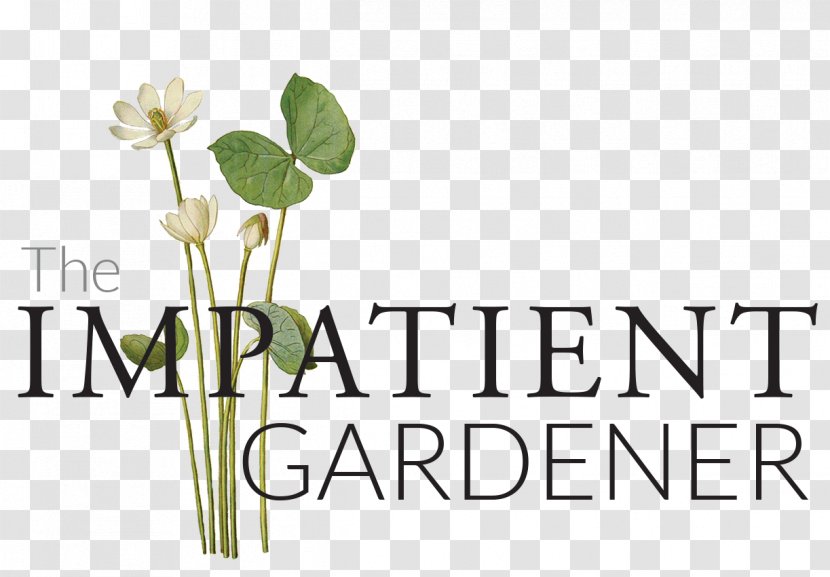Cut Flowers The Impatient Gardener Plant Stem Window Box - Real Transparent PNG