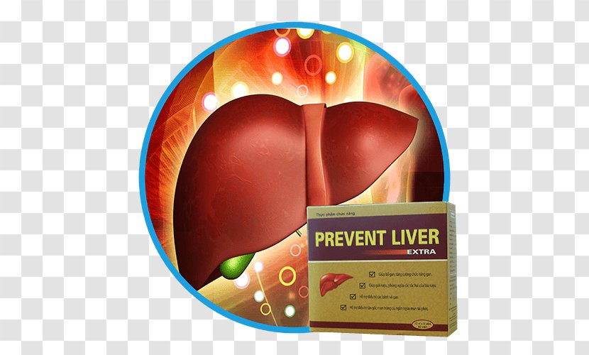 Detoxification Liver Transplantation In Children Health Transparent PNG