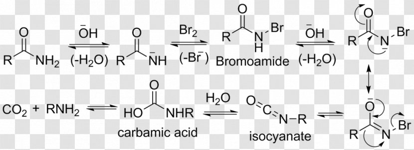 Rearrangement Reaction Hofmann Elimination Chemical Emde Degradation - Flower - Silhouette Transparent PNG