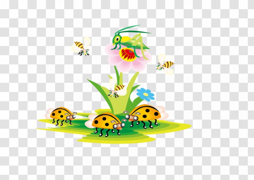 Letter Word English - Information - Insect Garden Transparent PNG