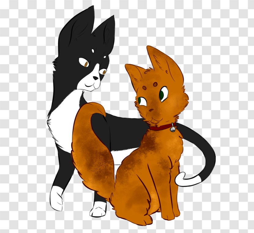 Whiskers Kitten Cat Canidae Transparent PNG