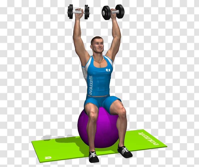 Weight Training Shoulder Exercise Balls Overhead Press - Flower - Dumbbell Transparent PNG