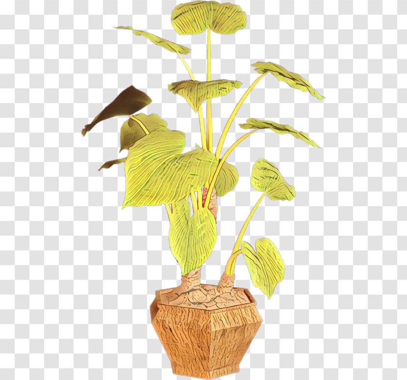 Leaf Flowerpot Plant Stem Houseplant - Anthurium Transparent PNG