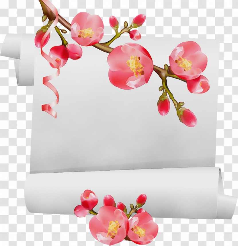 Cherry Blossom Transparent PNG