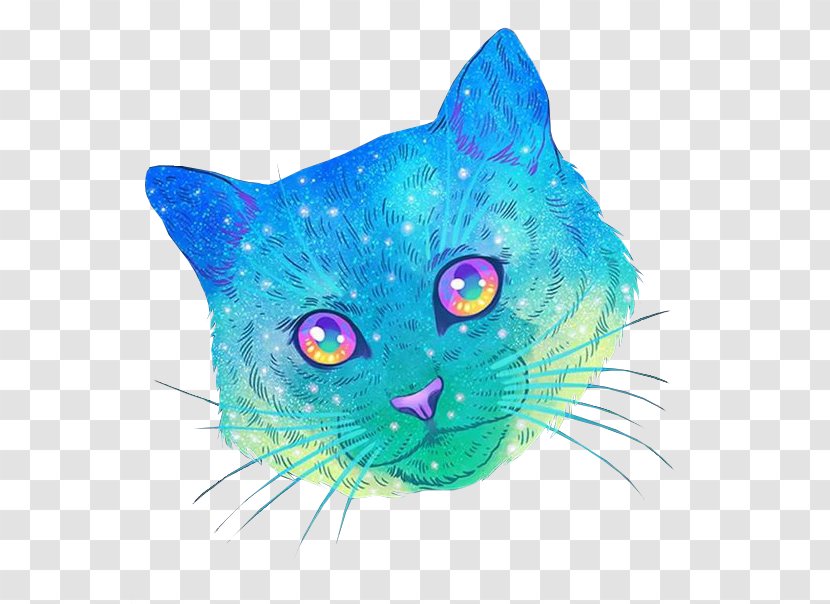 Cat Illustrator Artist Drawing - Small To Medium Sized Cats Transparent PNG