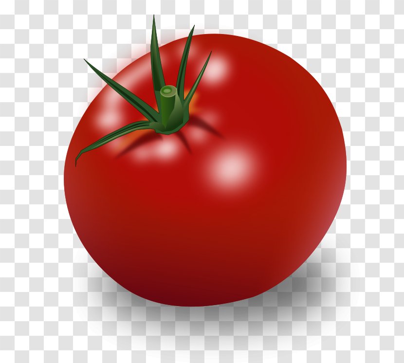 Cherry Tomato Vegetable Food Fruit Clip Art - Plum - Verdura Transparent PNG