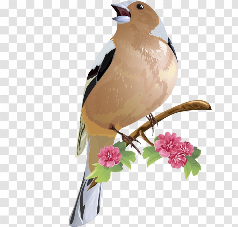 Bird Royalty-free Clip Art - Heart - Singing Birds Transparent PNG
