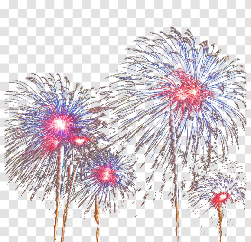 Nice Fireworks Pyrotechnics - Sky Transparent PNG