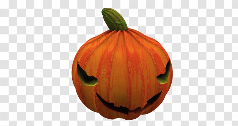 Jack-o'-lantern Calabaza Gourd Pumpkin Winter Squash - Cucurbita Transparent PNG