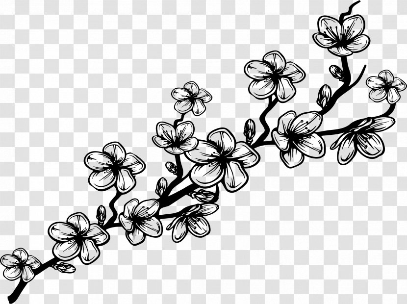 Drawing Clip Art - Line - Blossom Branch Transparent PNG