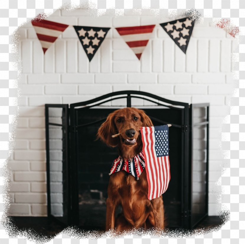 Flag Of The United States Host Family Dog - Crate Transparent PNG