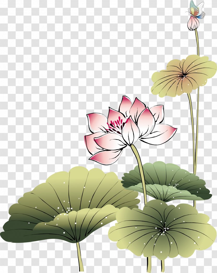 China Poster Advertising - Petal - Hand-painted Lotus Transparent PNG