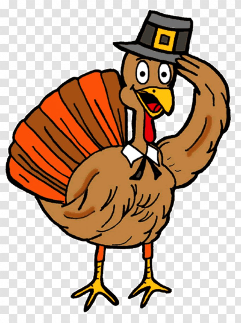 Clip Art Turkey Meat Thanksgiving Day Image - Bird - Domesticated Transparent PNG