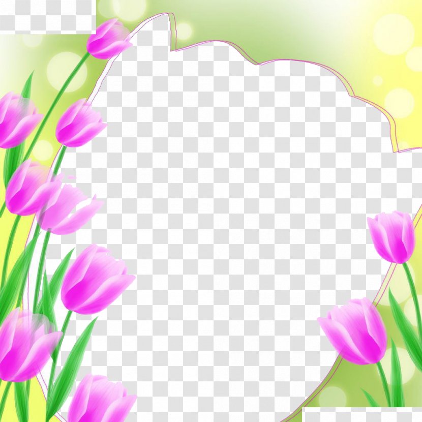 Tulip Picture Frame Flower Illustration - White Transparent PNG