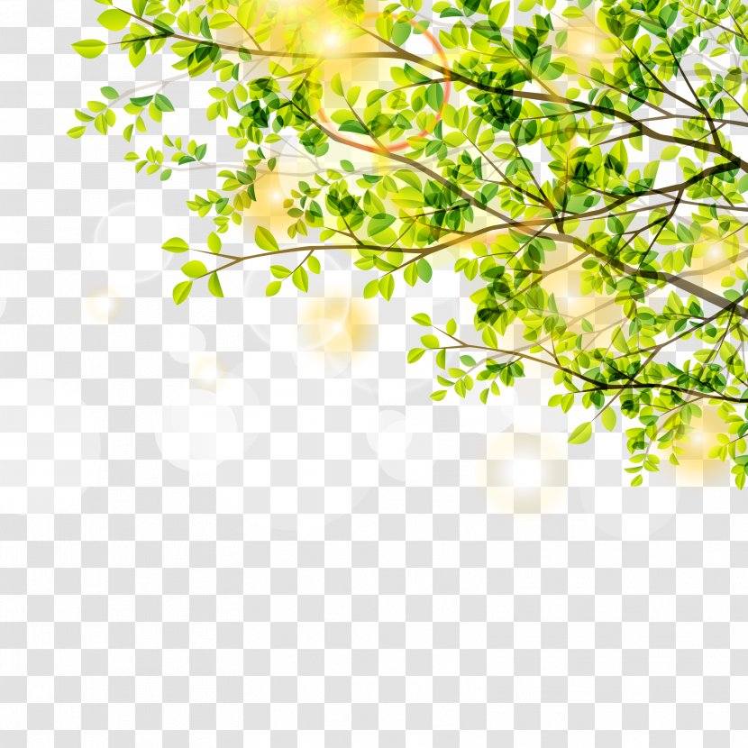 Leaf Green Euclidean Vector Tree - Sunlight - Spring Trees And Sunshine Material Transparent PNG