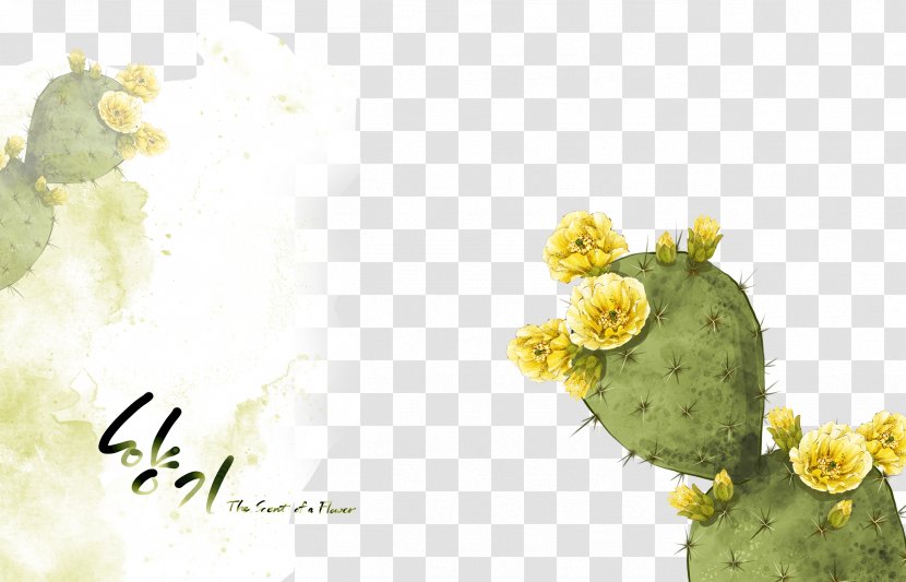 Cactaceae Thorns, Spines, And Prickles Illustration - Text - Cactus Transparent PNG