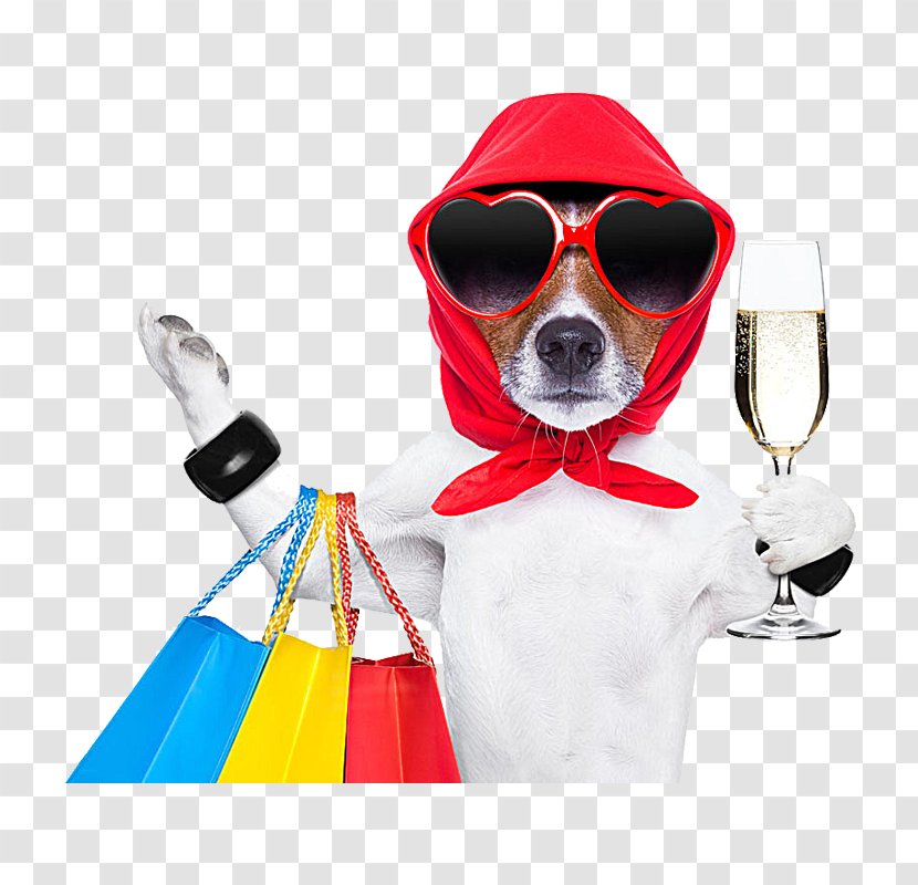 Dog Shopping Bag Stock Photography Pet Shop Transparent PNG