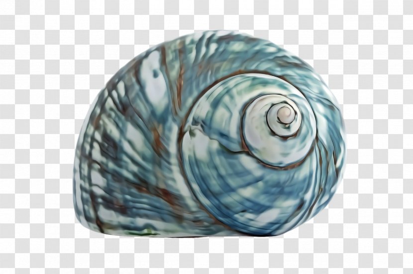 Blue Turquoise Aqua Shell - Sea Snail Spiral Transparent PNG