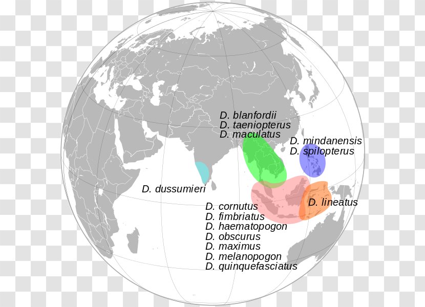 States And Territories Of India World Map - Organism Transparent PNG