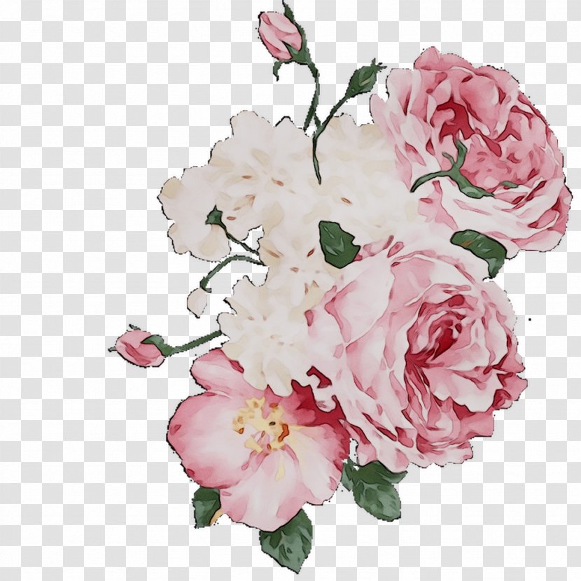 Garden Roses Decal Cabbage Rose Floral Design Floribunda - Order - Prickly Transparent PNG