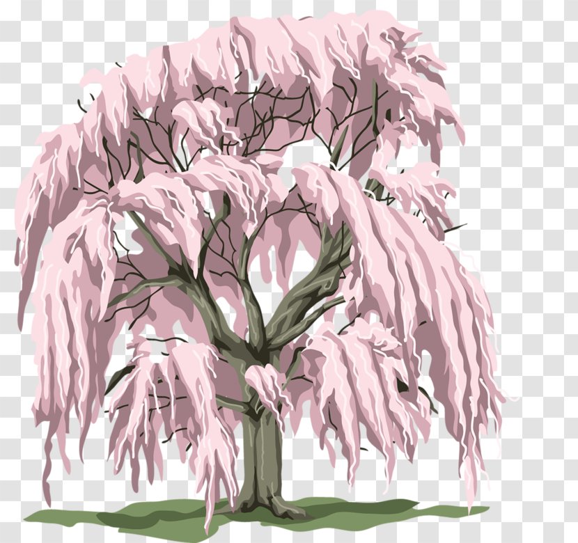 Cherry Blossom Tree - Shrub Transparent PNG
