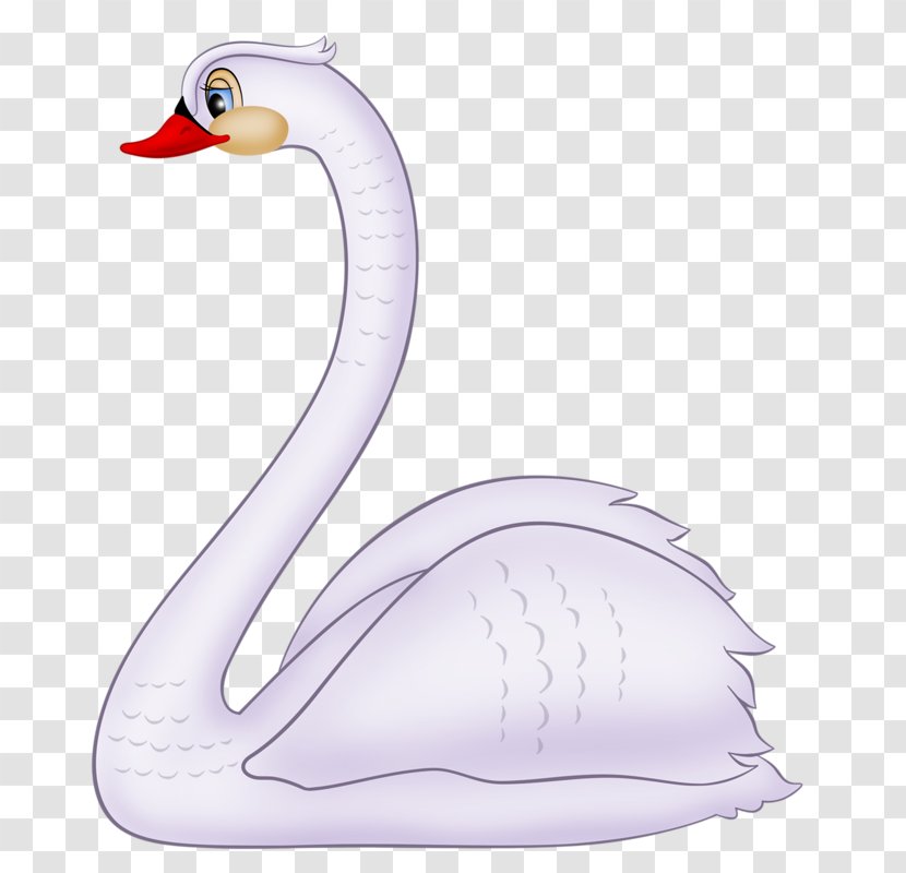Cygnini Duck Bird Cartoon Clip Art - White Swan Transparent PNG