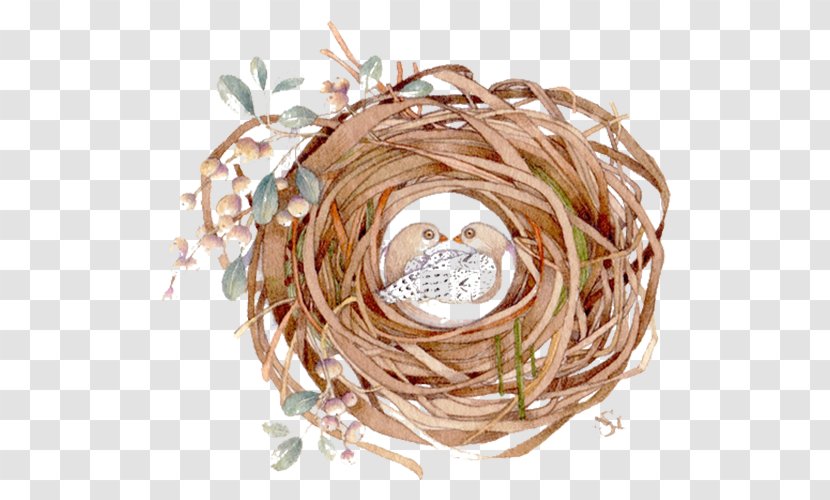 Bird Nest Watercolor Painting - Hand-painted Bird's Transparent PNG