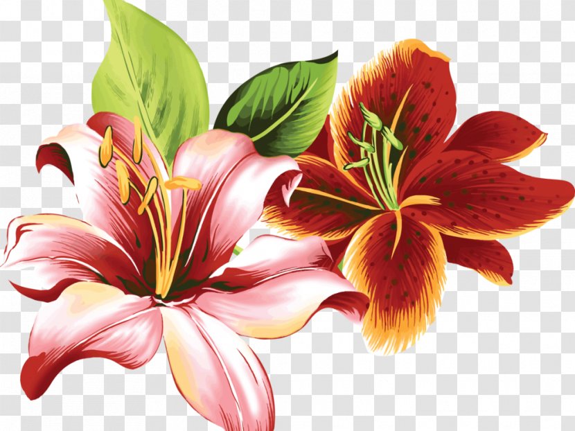 Flower Lilium Color Clip Art - Orange Lily Transparent PNG