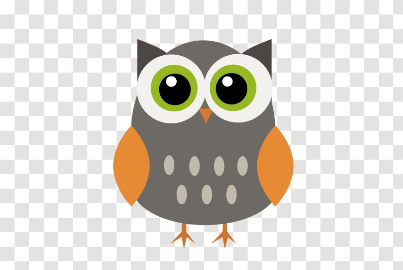 Owl Drawing - Beak - Watercolor Transparent PNG