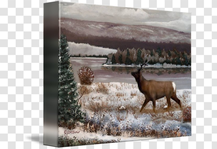 Slatington Art Drawing Painting Elk - Horn - World Scenery Transparent PNG