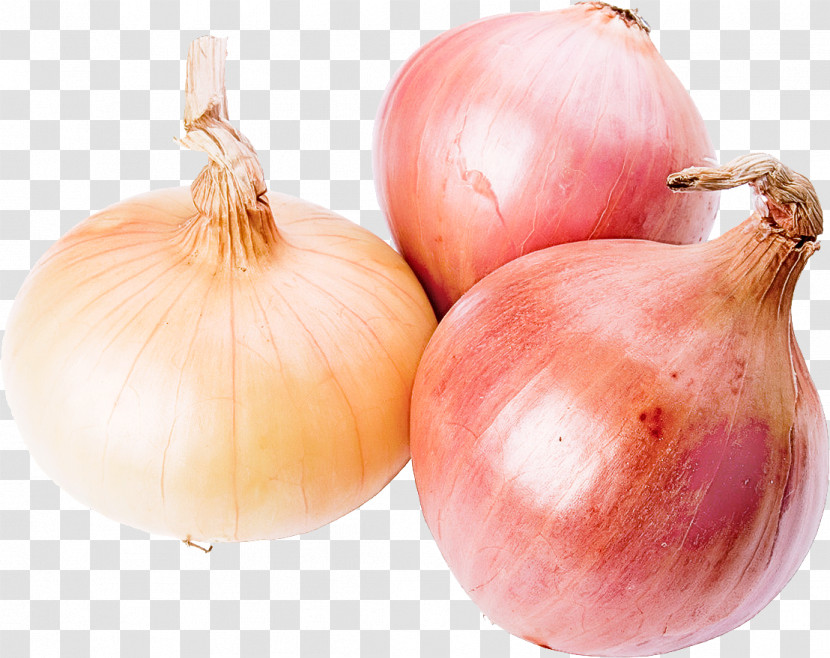 Yellow Onion Shallot Onion Vegetable Food Transparent PNG
