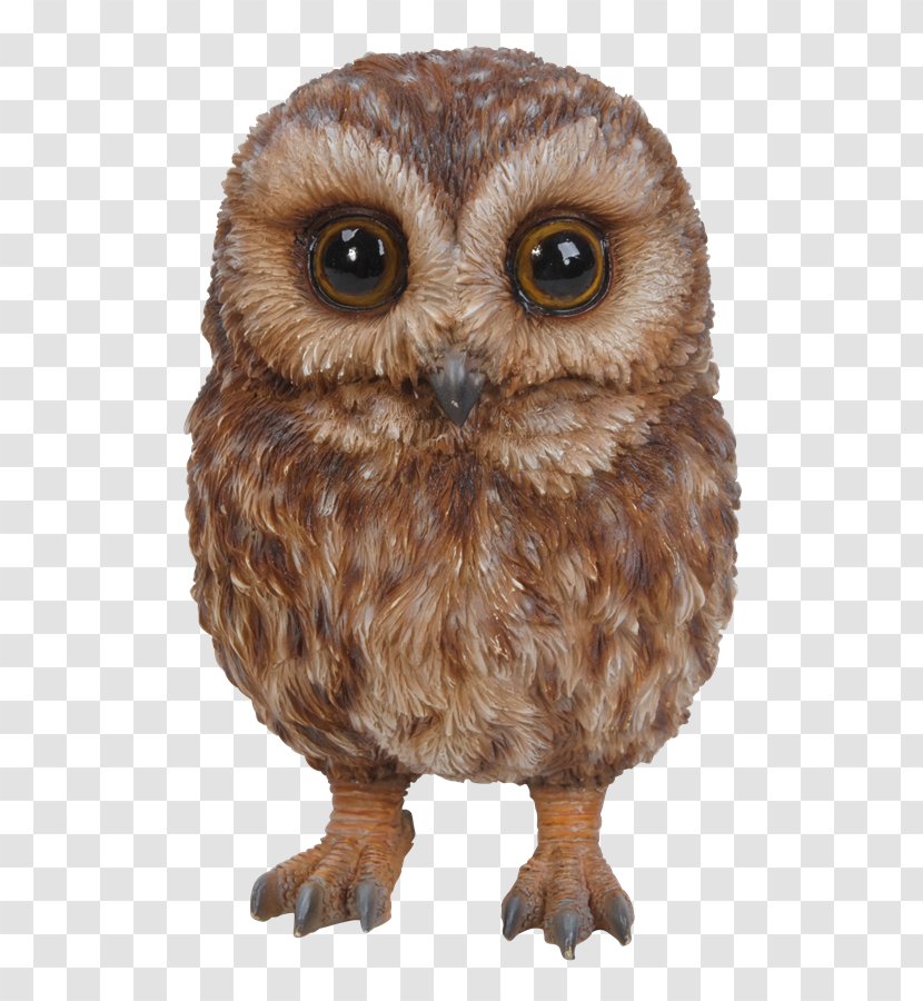 Tawny Owl Bird Of Prey Garden Ornament - Garland Transparent PNG
