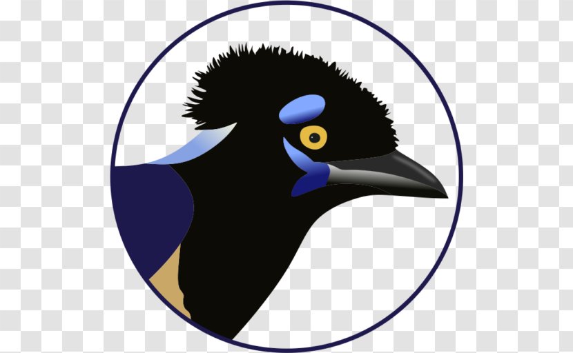 Noroeste Clip Art Bird Eurasian Magpie - Beak - Flightless Transparent PNG