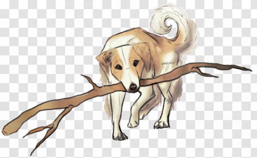 Dog Breed Saluki Snout - Mammal Transparent PNG