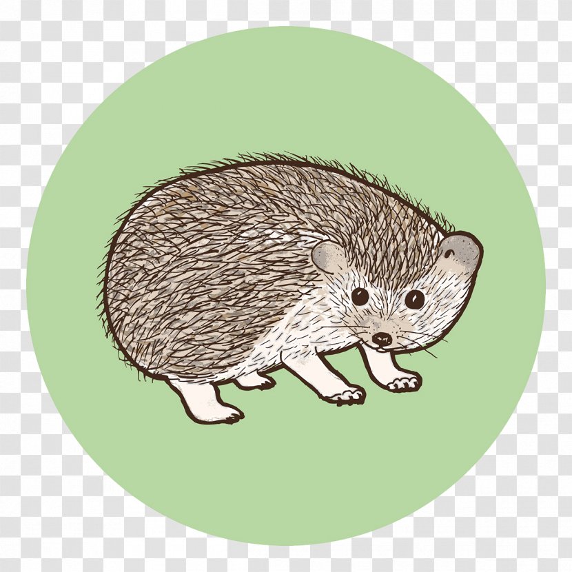 Whiskers Illustration - Mouse - Cute Transparent PNG