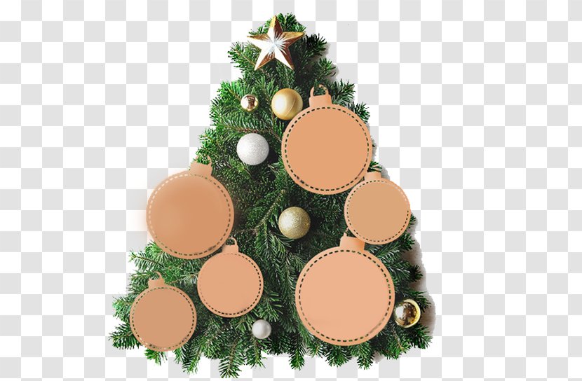 Christmas Tree Gratis Ornament - Still Show Transparent PNG